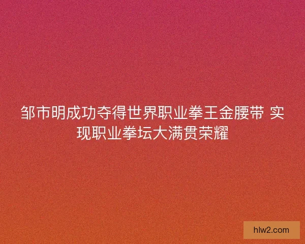 邹市明成功夺得世界职业拳王金腰带 实现职业拳坛大满贯荣耀