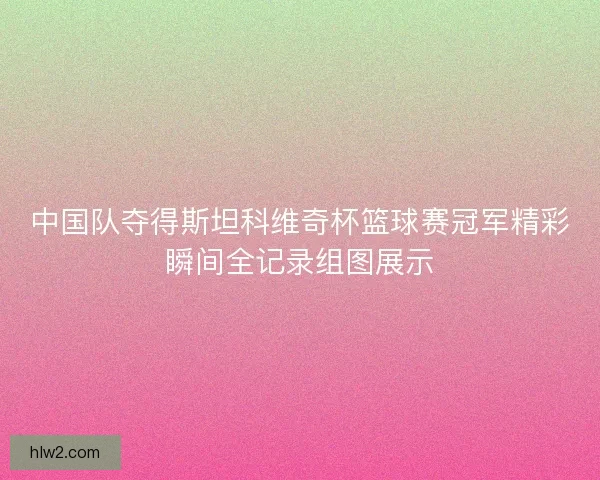 中国队夺得斯坦科维奇杯篮球赛冠军精彩瞬间全记录组图展示